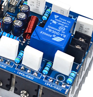 Module amplificateur mono canal haute puissance 1000W, carte d'amplification professionnelle pour scène avec tubes 5200 1943 pour amplificateurs audio DIY