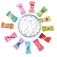 HALAL Certified Vitamin C Sugar-Free Multi-Colored Mint Candy Breathing Freshness Fruit-Flavored Clear Mouth Hard Ball-shaped
