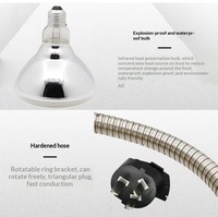 Lampe électrique moderne et simple en métal avec ampoule halogène pour la présentation chaude des aliments dans les restaurants, hôtels et services de restauration