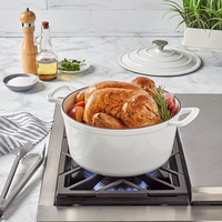 Cocotte en fonte émaillée de qualité supérieure avec revêtement antiadhésif, compatible lave-vaisselle, gaz et induction, idéale pour la cuisine domestique