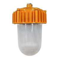 Lampe de rue anti-explosion C20Series 50W, forme balle, avec couvercle gris/jaune, prisme pentagonal et surface lumineuse intérieure à LED longue durée