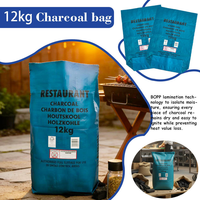 Sac tissé en PP laminé BOPP haute résistance de 12 kg |   Sac à charbon recyclable imprimé flexo multicolore, emballage personnalisé pour barbecue