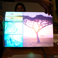 Nouveau film de projection arrière transparent chaud