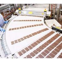 Nouvelle machine à chocolat commerciale pour la fabrication de truffes au chocolat Batawood, ligne de remplissage de barres chocolatées, ligne de formage de chocolat à vendre