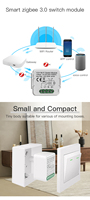 TYSH Matter Mini 10A/16A Saklar Lampu Pintar Wifi Nirkabel Berfungsi Dengan Alexa/Google Assistant Modul Universal DIY untuk Rumah Pintar
