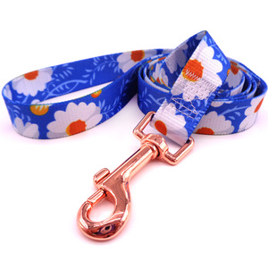 Guinzaglio cane personalizzato OEM ODM servizio di produzione guinzaglio in Nylon per animali domestici accetta il tuo Design e campione per il commercio all'ingrosso - Product Image 5