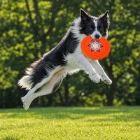 Disque volant pour chien TPU classique et moderne, orange fluorescent, 220/240 mm, jouet interactif pour chien