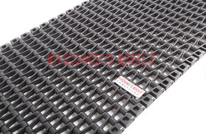 Hongsbelt Băng Tải Mô-đun Băng Tải Nhựa Mô-đun Băng Tải Xích Nhựa Mô-đun - Product Image 5