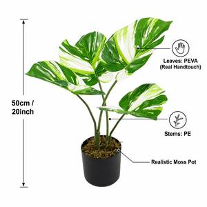 <span class=keywords><strong>Plante</strong></span> artificielle mini <span class=keywords><strong>Monstera</strong></span> haut de gamme, variée, 50 cm, feuilles PEVA réalistes au toucher, en pot, fausse verdure moderne pour la décoration de la maison et du bureau - Product Image 3