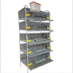 Equipo Comercial de 5 Niveles Tipo H para Alimentación de Codornices y Gallinas Ponedoras, Maquinaria Agrícola, Piezas de 40 kg, 1 Año de Garantía - Product Image 5