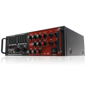 Spot Product 25 Watt USB Echo Amp Professional Mixer Power Amplifier for electric guitar