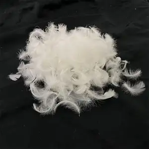 Factory Direct Sales 2-4-6cm Washed White Duck Feather