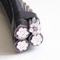 Câble ABC Triplex Isolation XLPE/PE Câble en aluminium aérien 0.6/1 Kv 2X4 AWG ASTM Fil électrique Câble ABC XLPE