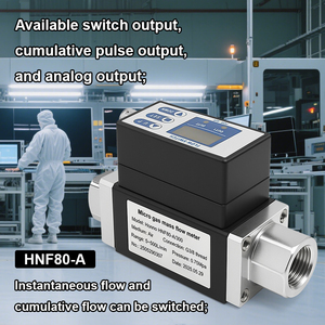 Capteur de débit OEM, débitmètre massique de gaz, RS485/4~20mA, pour azote/hydrogène/oxygène/dioxyde de carbone/hélium/argon/méthane HNF80-A Hig - Product Image 2
