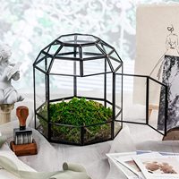 Terrarium de plantes en verre fait à la main, boîte de carte-cadeau, forme de cage d'oiseau, dôme en or noir, Terrarium en verre géométrique