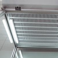 Hotte à fléaux Biobase Dubaï avec filtre à charbon actif, débit d'air réglable, armoire d'extraction chimique pour laboratoire