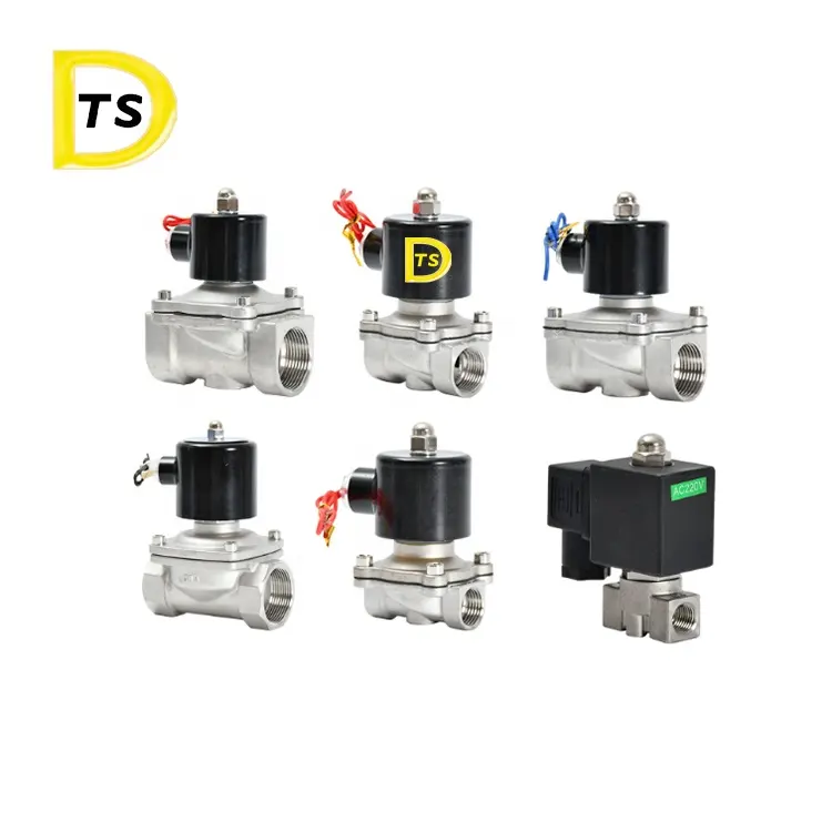 304 paslanmaz çelik AC DC 12v 24v 110v 220v hava buhar orantılı diyafram bakır bobin pirinç alaşım solenoit valf