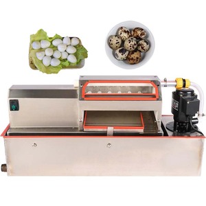 מסחרי אוטומטי שליו קילוף ביצה מכונת קילוף ציפור HJ-QK02 - Product Image 1