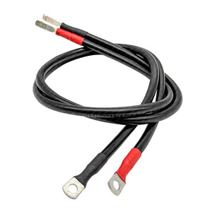 Pure Copper 2-Core Ring <b>Terminal</b> Wire For PLC Control Cabinet Signal Connection Grounding Cable - Product Image 1