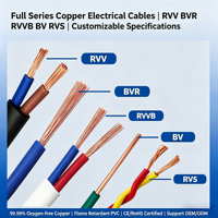 Câble Électrique RVV Longueur Personnalisée Couleur Noyau en Cuivre Pur Fil Étanche pour Distributeurs Mondiaux Achat en Gros