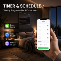 Interruttore Luce Smart WiFi Standard EU 2 Gang con Pannello Touch 240V, Controllo Vocale, Timer, Controllo App, Vetro Temperato, 10A, Impermeabile