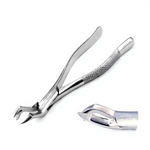 Forceps d'extraction de racines # Instruments dentaires de qualité supérieure pour l'extraction des molaires supérieures gauche 88L – Chirurgie buccale, élimination des dents - Product Image 1