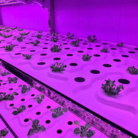 Système de culture hydroponique intérieur commercial pour micro-légumes, ferme en conteneur de transport de plantes