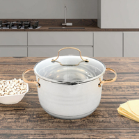 Ensemble de casseroles en acier inoxydable de haute qualité, 10 pièces, respectueux de l'environnement, pots et poêles dorés, couvercles en verre, passe au lave-vaisselle, pour la cuisine à domicile