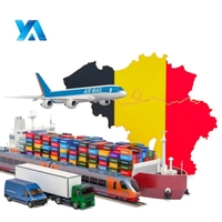 Transporteur professionnel de fret de la Chine vers la Belgique Conteneur de transport de fret maritime LCL + Expédition express DDU/DDP