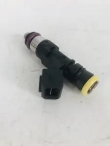 Top Quality BOS CH Brand Natural Gas Nozzle 0280158829
