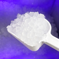Machines à glace commerciales pour la production de glace en blocs/boulets/pastilles/en flocons pour les cafés, les hôtels et les bars
