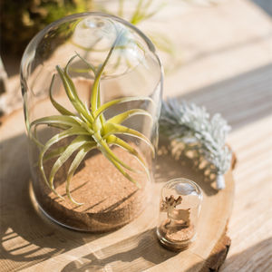 Cúpula de cristal personalizada hecha a mano con base de madera, forma cuadrada, tamaño personalizado, el mejor precio para el Día de San Valentín y Navidad - Product Image 5