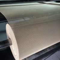 Kit de gouttière en maille d'aluminium extensible durable pour extérieur, 200 mm x 1000 mm, filtres perforés à trous en diamant, installation facile