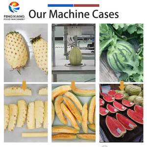 Machine à peler et à segmenter les melons FENGXIANG, capacité 120-240 pièces/h, pour pastèque, melon d'hiver, ananas, jackfruit - Product Image 5