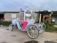 Chariot de décoration électrique artisanal en forme de citrouille féerique pour extérieur, idéal pour les événements et les expositions photo