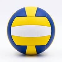 Ballon de volley-ball en TPE cousu à la machine, taille 5, léger, pour terrain intérieur, entraînement de groupe et jeux de loisirs pour seniors