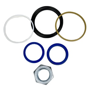 Kit de joints de vérin de levage pour mini-chargeuse 7137939 pour S250 S300 S330 T250 - Product Image 1