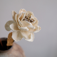 Grosir bunga kering Peony bunga buatan tangan bunga buatan tangan latar belakang pernikahan dekorasi rumah buatan tangan