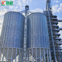 Système d'aération pour silo à riz de 500 à 5000 tonnes, conteneur en acier galvanisé durable, montage facile, garantie 1 an pour l'usine de parboilage des coques de riz