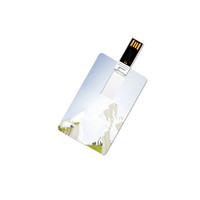 Vente en gros de clés USB personnalisées 128MB 8GB 16GB 32GB 64GB 128GB Slim Card USB Stick