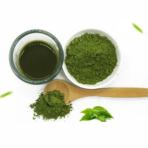 Herb spirit polvere di Matcha di tè verde puro di alta qualità dal commercio all'ingrosso di Matcha