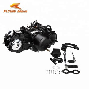 Moto ATV <span class=keywords><strong>Dirt</strong></span> Bike LF 150CC Moteur à démarrage manuel <span class=keywords><strong>LiFan</strong></span> 150cc Pit Bike Moteur horizontal avec bobine d'allumage CDI - Product Image 2