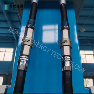 Distributeur de <span class=keywords><strong>carburant</strong></span> à 2 buses pour essence, diesel et huile, certifié CE, 0,25 %, vente en gros, prix usine, leader de la vente en Chine - Product Image 4