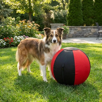 Housse de ballon de yoga en nylon 1680D durable, bleu-jaune, avec panneau longitudinal, pour ballon de fitness et d'entraînement, housse de ballon géant