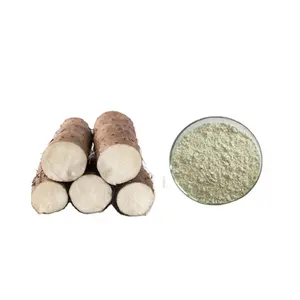 Natural Dioscorea opposita Root 6% 16% 20% 98% Diosgenine Yam yellow ginger yellow medicine pangolin extract powder CAS 512049