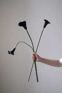 Real Touch <span class=keywords><strong>Fleurs</strong></span> <span class=keywords><strong>Arum</strong></span> Lily PU Calla Lily Fleur Artificielle Mariage Décor Maison <span class=keywords><strong>Fleurs</strong></span> Décoratives pour Noël Graduation - Product Image 3