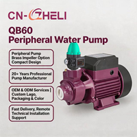 QB60 0,5 PS 1 PS Elektromotor Qb80 Peripheriepumpe 0,75 PS 1 Zoll Bewässerungspumpe für Landwirtschaft und Bewässerung