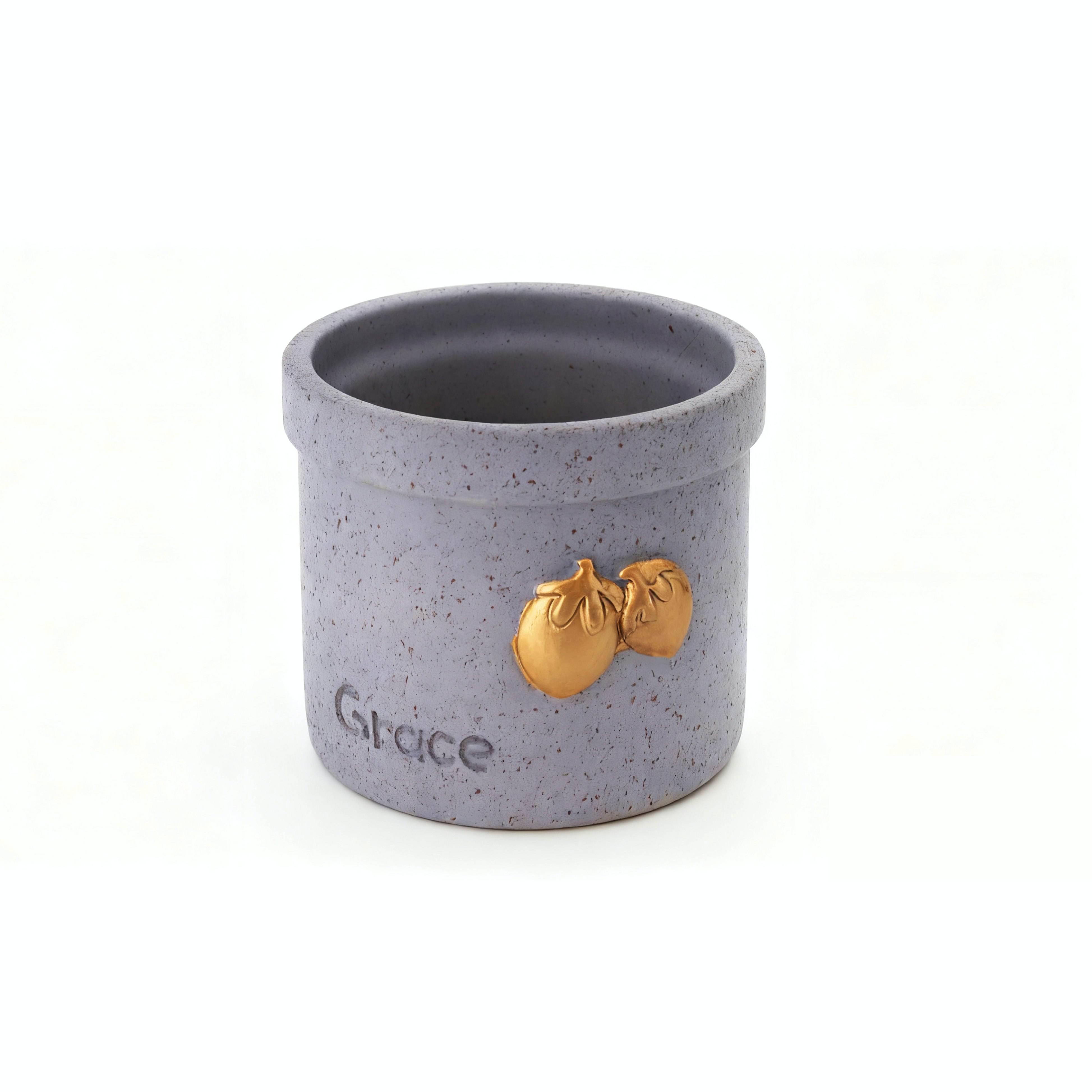 ผลไม้-สีม่วง