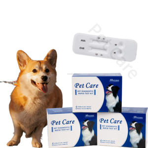 Itgen in vitro <span class=keywords><strong>test</strong></span> de diagnostic rapide prueba parvovirus <span class=keywords><strong>test</strong></span> <span class=keywords><strong>distemper</strong></span> <span class=keywords><strong>canine</strong></span> cpv cdv combo <span class=keywords><strong>test</strong></span> rapide - Product Image 4