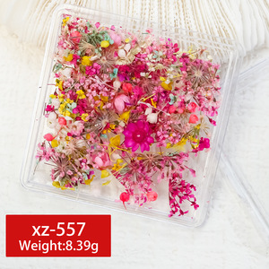 Flower Art 3D Nail Sticker <span class=keywords><strong>Manicura</strong></span> con caja transparente Embalaje Nail Art Decoración Natural Falso Seco <span class=keywords><strong>Flor</strong></span> Nail Art Decoración - Product Image 3